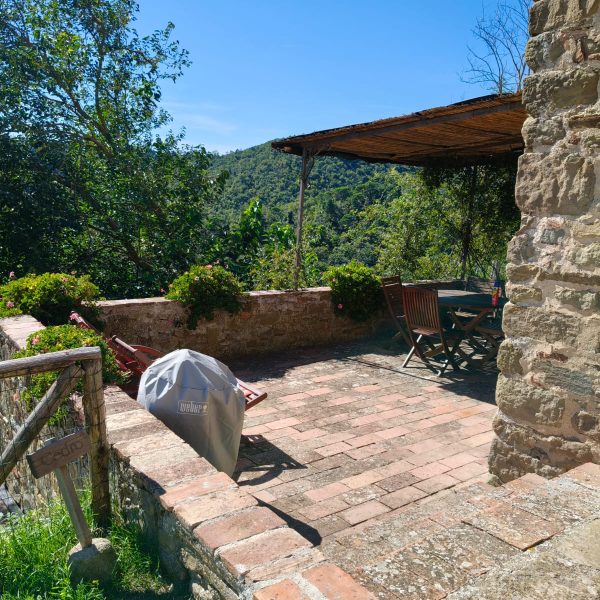 WhatsApp Image 2026-01-21 at 13.52.25