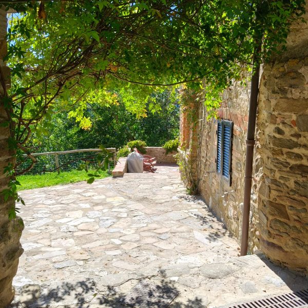 WhatsApp Image 2026-01-21 at 13.52.26